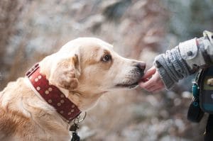 7 quick ways to build trust when you network