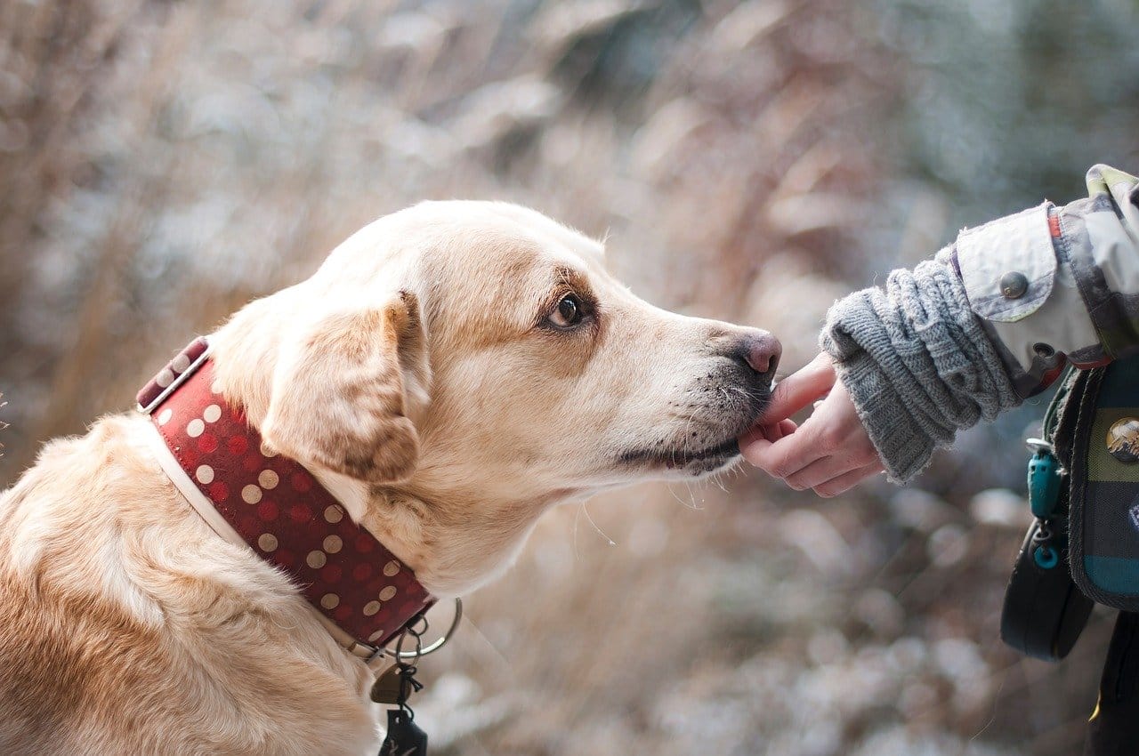 7 quick ways to build trust when you network