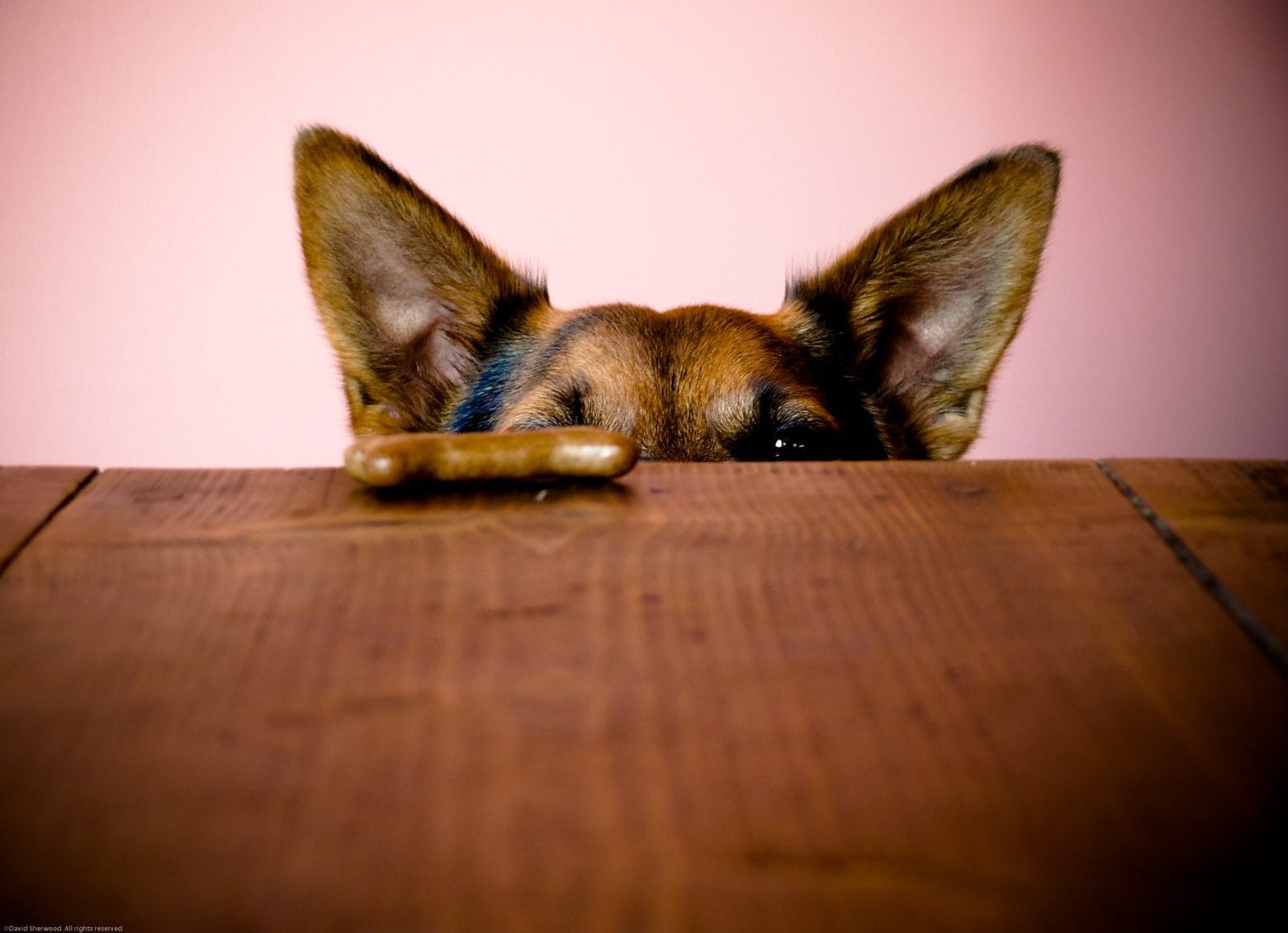 3 ways to use anticipation to keep your audience alert (and wanting what you’ve got)